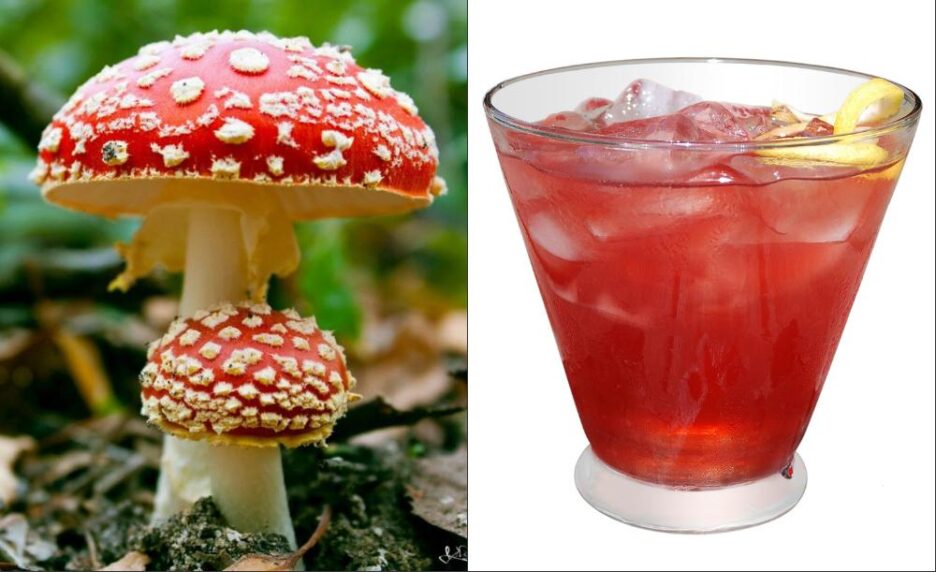 Лечебные свойства Красного Мухомора